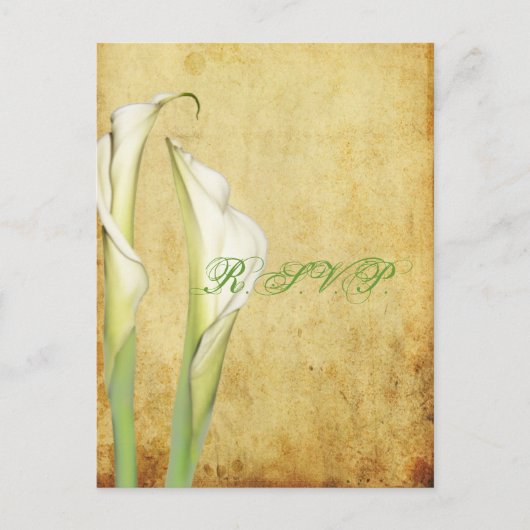 PixDezinesヴィンテージCalla Lily インビテーションポストカード (正面)