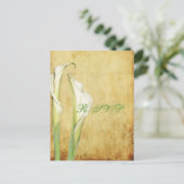 PixDezinesヴィンテージCalla Lily インビテーションポストカード (スタンド正面)