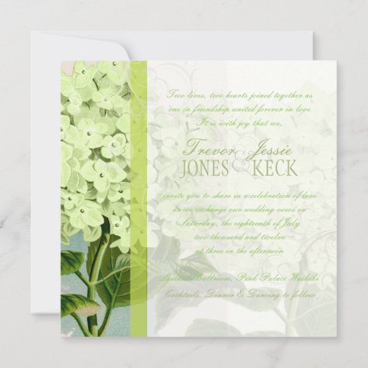 PixDezinesヴィンテージgreen hydrangea 招待状 (裏面)