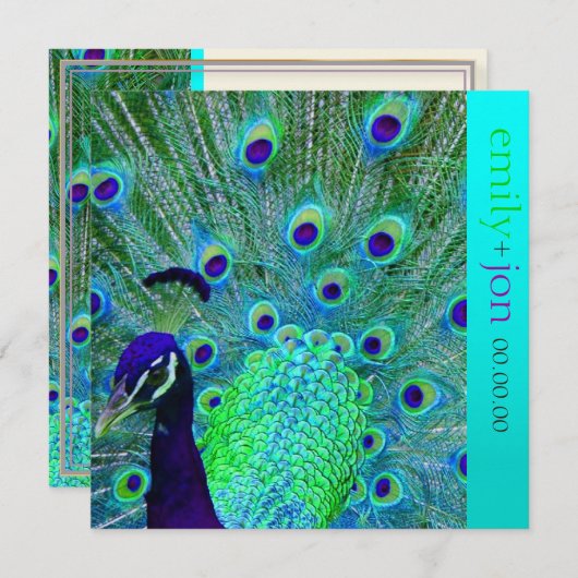 PixDezines孔雀の羽毛/アクア/ターコイズ 招待状 (正面/裏面)