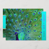 PixDezines孔雀の羽毛/アクア/ターコイズ 招待状 (正面/裏面)