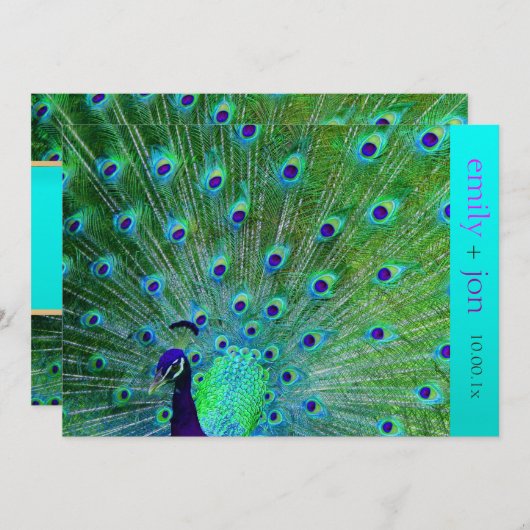 PixDezines孔雀の羽毛/アクア/ターコイズ 招待状 (正面/裏面)