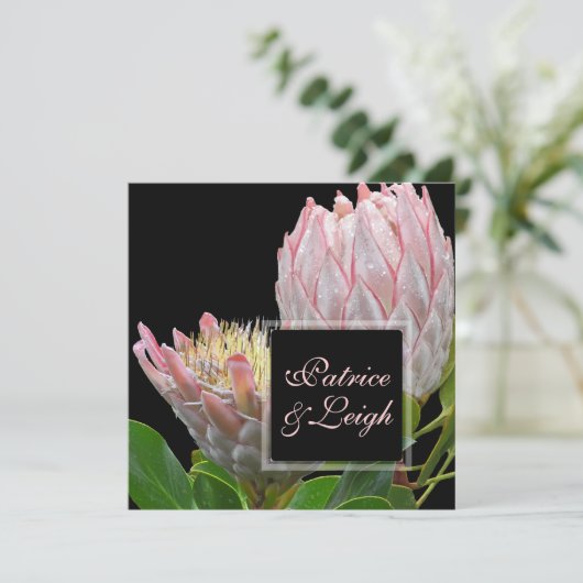 PixDezines新鮮なピンクのマウイキングプロテア 招待状 (スタンド正面)