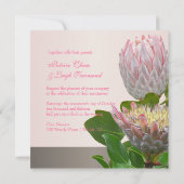 PixDezines新鮮なmaui protea pink淡い色の/diy 招待状 (裏面)