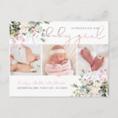 PixDezines水彩ダスティピンクユーカリ誕生 ポストカード (正面)