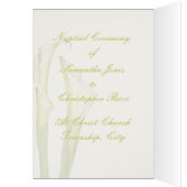 PixDezines白いカラリリー/diy背景 (内側 (左))