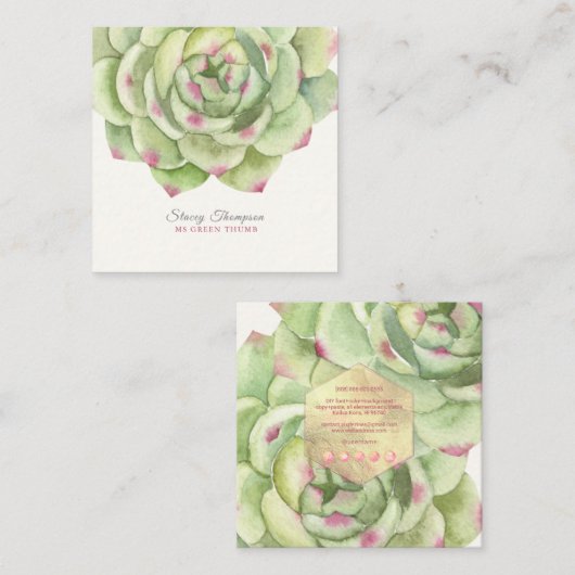 PixDezines砂漠バラ多肉質の水彩 スクエア名刺 (正面/裏面)