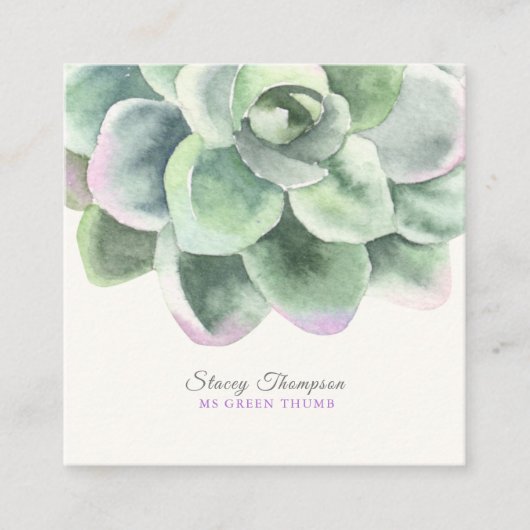 PixDezines砂漠バラ多肉質の水彩 スクエア名刺 (正面)