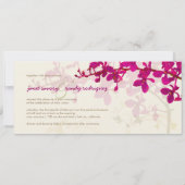 PixDezines蘭/レナンテラ 招待状 (裏面)