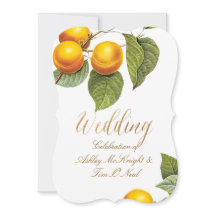 PixDezines オーチャード/ピーチ/レドゥート