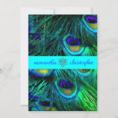 PixDezines ピオカの羽根/ターコイズ/アクアブルー 招待状 (正面)