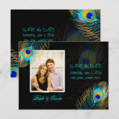 PixDezines ピカデジ 孔雀/DIY イベント+背景色 案内ポストカード (正面/裏面)