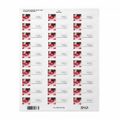 PixDezines（ユダヤ教の）バル・ミツバー水彩見本レッド+ブラック ラベル (フルシート)