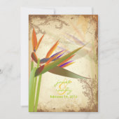 PixDezines ヴィンテージ オウムのパラダイス 招待状 (正面)