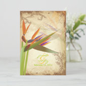 PixDezines ヴィンテージ オウムのパラダイス 招待状 (スタンド正面)