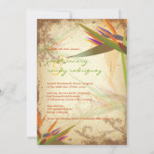 PixDezines ヴィンテージ オウムのパラダイス 招待状 (裏面)