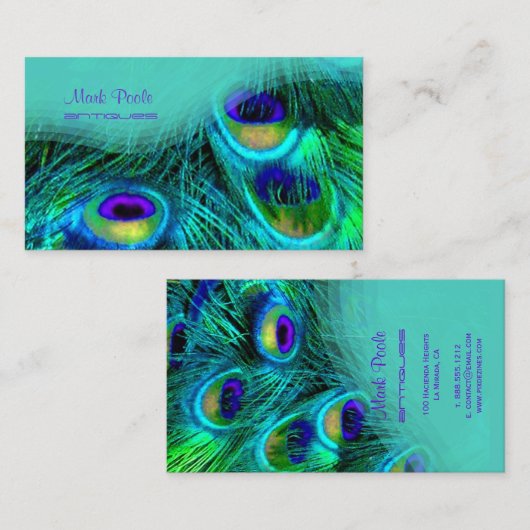 PixDezines 孔雀の羽根名刺 名刺 (正面/裏面)