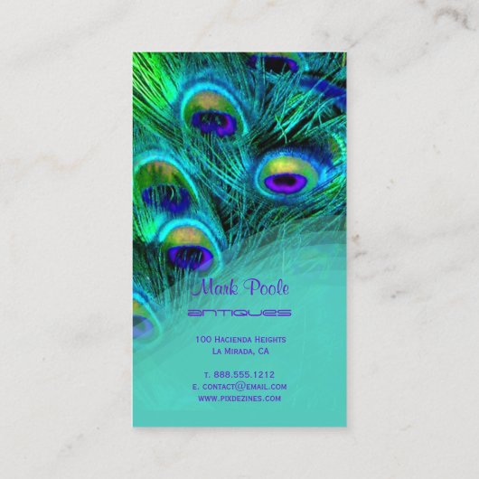 PixDezines 孔雀の羽根名刺 名刺 (裏面)