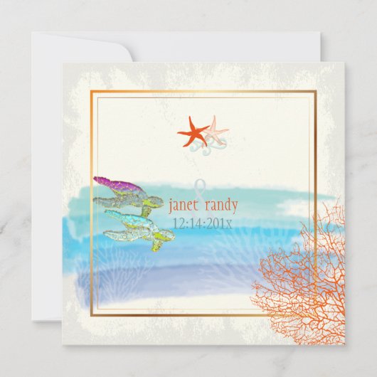 PixDezines 緑のカメ+マウイ島のサンゴ+ヒトデ (正面)