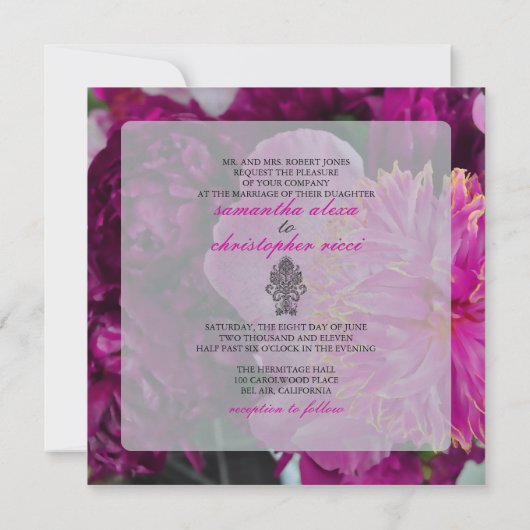 PixDezines 赤ワインの牡丹/DIY 招待状 (裏面)