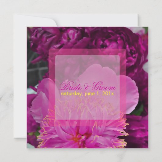 PixDezines 赤ワインの牡丹/DIY 招待状 (正面)