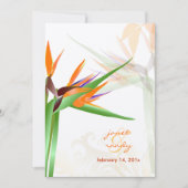 PixDezines 鳥の楽園/オリジナル背景色 招待状 (正面)