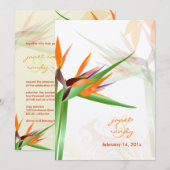 PixDezines 鳥の楽園/オリジナル背景色 招待状 (正面/裏面)