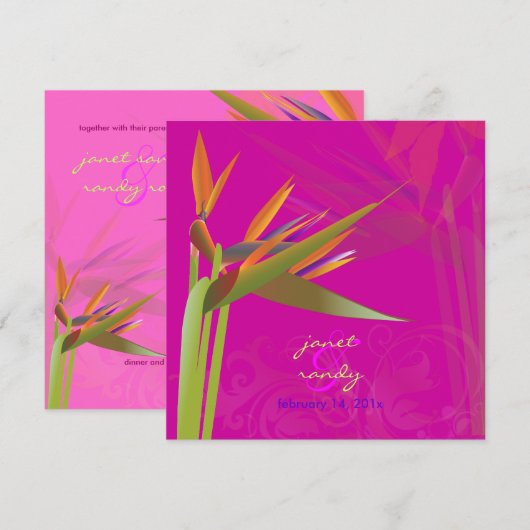 PixDezines 鳥の楽園/オリジナル背景色 招待状 (正面/裏面)