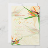 PixDezines BIRD OF PARADISE/DIY背景色 招待状 (裏面)