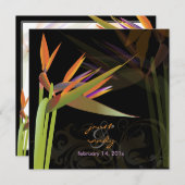 PixDezines BIRD OF PARADISE/DIY背景色 招待状 (正面/裏面)