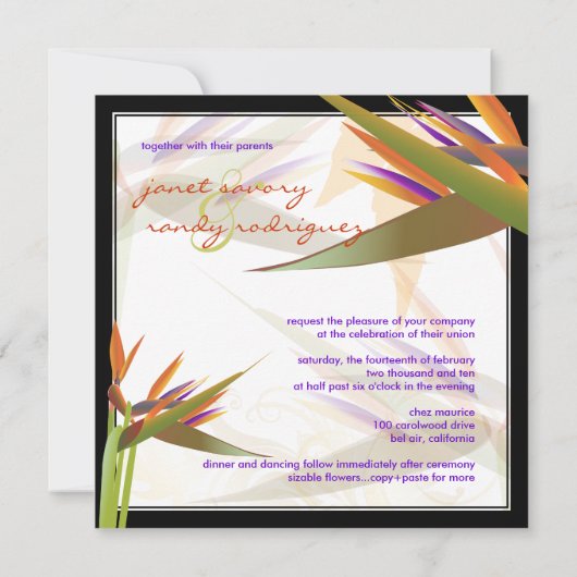 PixDezines BIRD OF PARADISE/DIY背景色 招待状 (裏面)