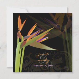 PixDezines BIRD OF PARADISE/DIY背景色 招待状