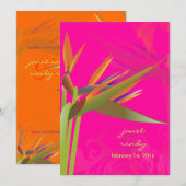 PixDezines BIRD OF PARADISE/DIY背景色 招待状 (正面/裏面)