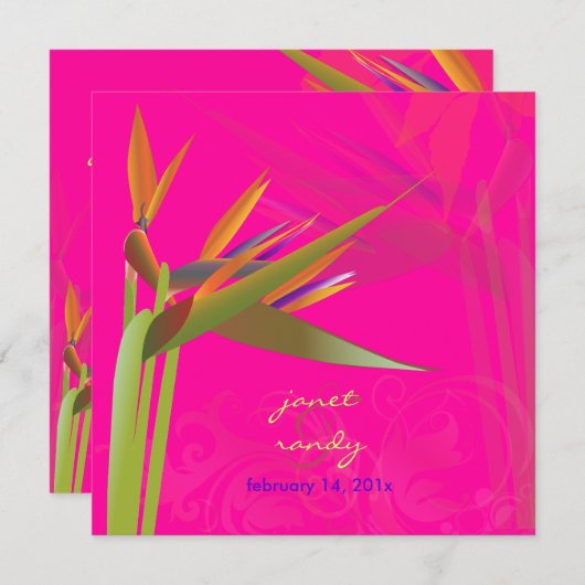 PixDezines BIRD OF PARADISE/DIY背景色 招待状 (正面/裏面)