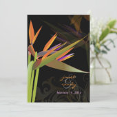 PixDezines BIRD OF PARADISE/DIY背景色 招待状 (スタンド正面)