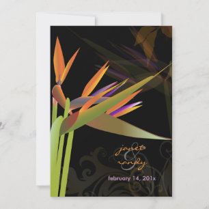 PixDezines BIRD OF PARADISE/DIY背景色 招待状