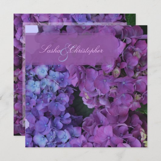 PixDezines Blue Hydrangea 招待状 (正面/裏面)