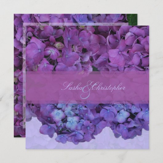 PixDezines Blue Hydrangea 招待状 (正面/裏面)