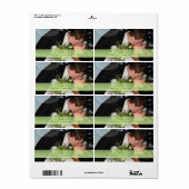 PixDezines DIYフォト住所 シール (フルシート)