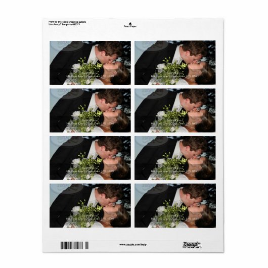 PixDezines DIYフォト住所 シール (フルシート)