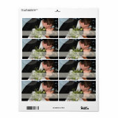 PixDezines DIYフォト住所 シール (フルシート)