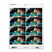 PixDezines DIYフォト住所 シール (フルシート)