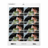 PixDezines DIYフォト住所 シール (フルシート)