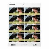 PixDezines DIYフォト住所 シール (フルシート)