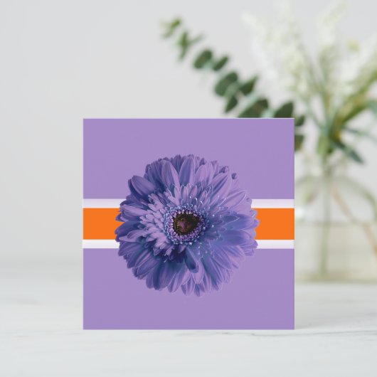 PixDezines Gerbera、紫/暗の背景色 招待状 (スタンド正面)