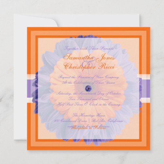 PixDezines Gerbera、紫/暗の背景色 招待状 (裏面)