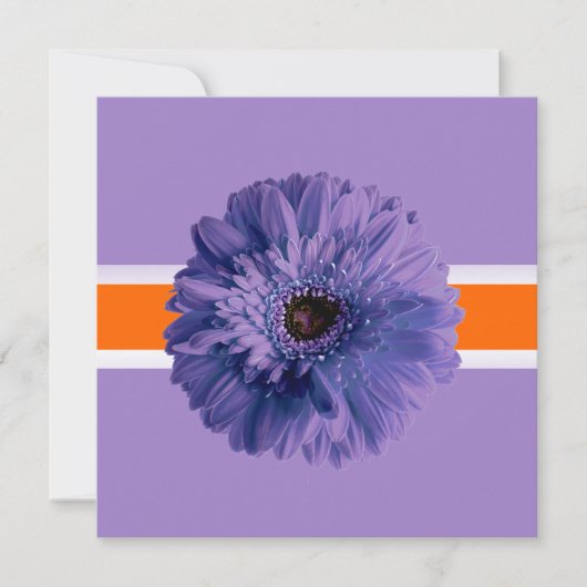 PixDezines Gerbera、紫/暗の背景色 招待状 (正面)