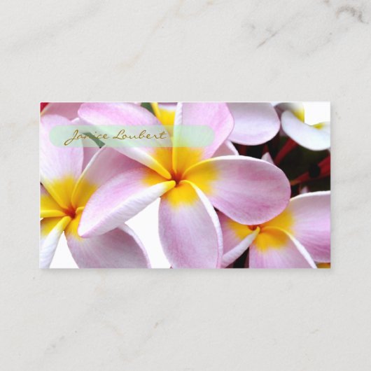 PixDezines KONA PINK PLUMERIAS 名刺 (裏面)