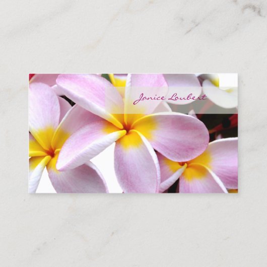 PixDezines KONA PINK PLUMERIAS 名刺 (裏面)