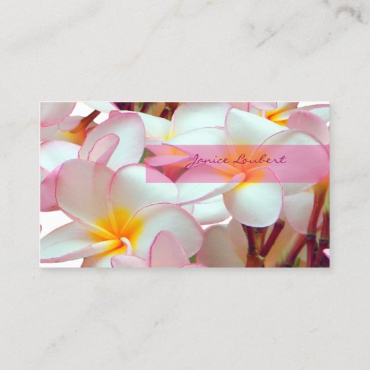 PixDezines KONA PINK PLUMERIAS 名刺 (裏面)